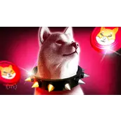 柴犬币夏季涨势结束——大持有者退出致价格下跌