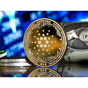 柴犬币最新新闻 – 柴犬币最新消息