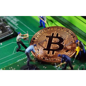 柴犬币的今日价格(今天柴犬币的最新价格)