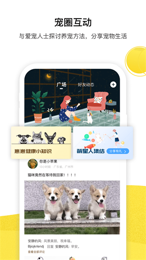 宠陪培
