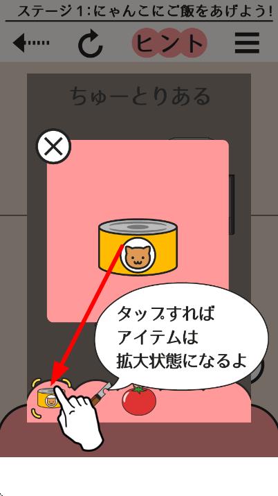 我们家的猫
