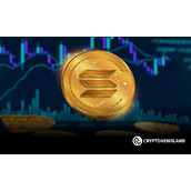 Solana主导地位稳定在2.56%，价格在178美元支撑位附近盘整