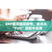 XRP展现强劲韧性 成功从“FUD”阴影中反弹