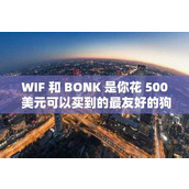 WIF 和 BONK 是你花 500 美元可以买到的最友好的狗吗？