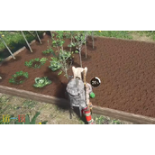 人渣SCUM怎么种植蔬菜瓜果 蔬菜瓜果种植方法一览