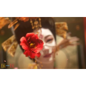 燕云十六声醉花阴怎么晋升 醉花阴提升地位方法