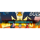 鹅鸭杀手机电脑互通吗，鹅鸭杀手机电脑账号可以一起玩吗