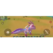 《创造与魔法》顽皮蝾螈饲料材料如何