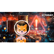 5800万美元的Shiba Inu被锁定，SHIB价格接下来会怎样？