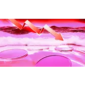 分析师表示，全球M2货币供应量暗示比特币可能在9月前见顶