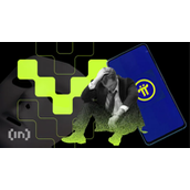 PI网络跌至历史新低——为何该代币可能进一步下滑