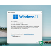 win11自动下载在哪个文件夹？windows11自动下载文件位置