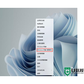 win11卓越性能模式怎么开启 win11开启卓越性能模式的教程