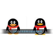 《QQ》分享屏幕功能使用教程