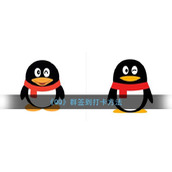 《QQ》群签到打卡方法