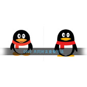 《QQ》共同好友查看方法