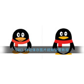 《QQ》自动保存图片视频设置教程