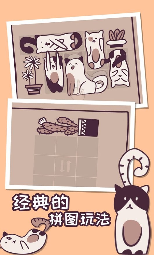 井然有猫