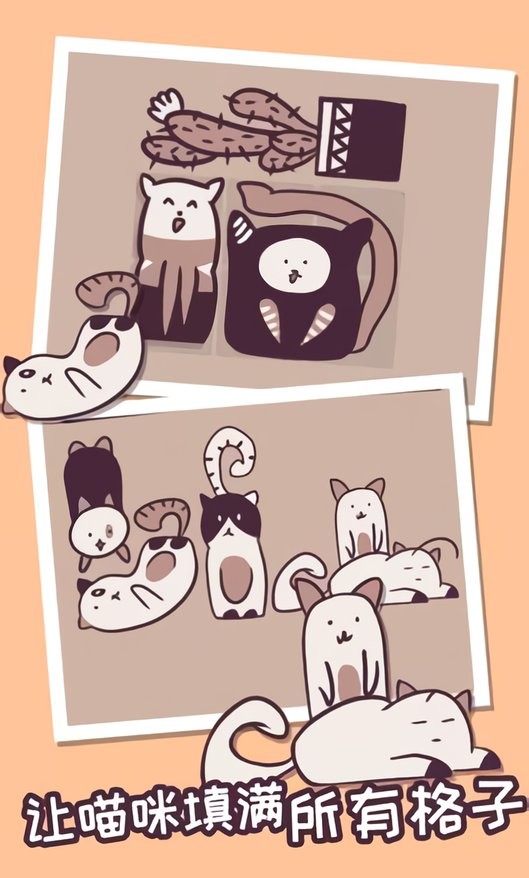 井然有猫