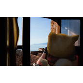 狗狗币购买全指南：主流交易所盘点与操作购买教程（2025版）