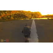 人渣SCUM蘑菇怎么获取 蘑菇种类辨别方法介绍​