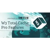 W3 Total Cache Pro v2.8.11 汉化版    WordPress 缓存插件