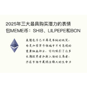 2025年三大最具购买潜力的表情包MEME币：SHIB、LILPEPE和BONK