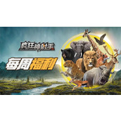 疯狂神射手最新礼包兑换码分享