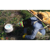 人渣SCUM蛋糕怎么做 蛋糕制作方法一览