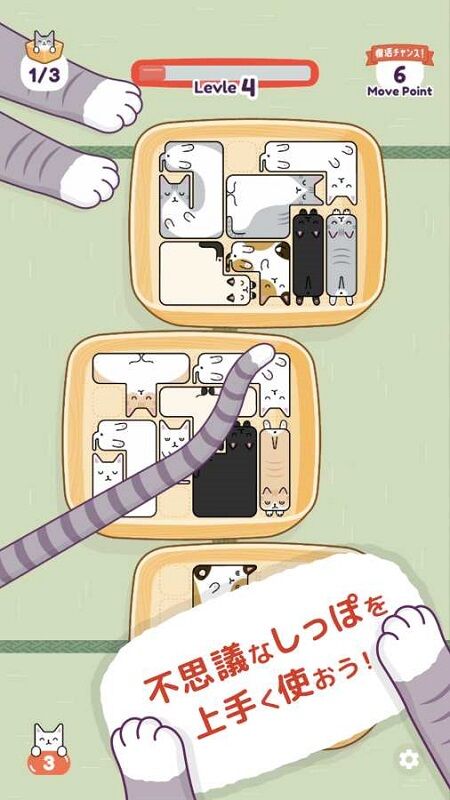 猫猫盒