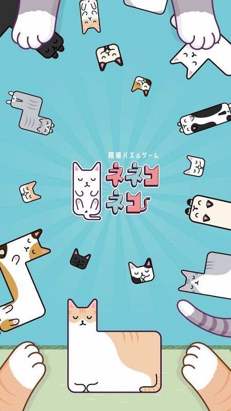 猫猫盒