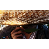 燕云十六声妙妙庙怎么完成 清河百草野万事知完成方法