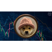 Dogwifhat标志性的粉色帽子首次亮相拍卖会