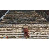 明末渊虚之羽沓・冻伤・加速怎么样 神之忆效果详细介绍​