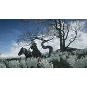 《燕云十六声》无名枪稳定上流云段位攻略 无名枪连招教学