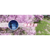 逆水寒手游缘系千丝怎么获得-逆水寒手游缘系千丝获取方法