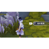 原神枯叶紫英在哪里获取-原神枯叶紫英全获得位置一览