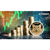 柴犬币（SHIB）巨鲸苏醒，暴涨525%