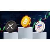 今日加密货币价格（8月8日）：比特币保持稳定，山寨币普涨