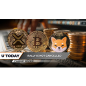 2025年比特币主导地位面临挑战，瑞波币（XRP）：2025年或将跻身涨幅前五，柴犬币（SHIB）：关键突破正在酝酿中？