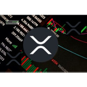 XRP即将爆发。原因如下