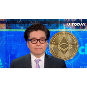 以太坊可能超越比特币，Tom Lee预测