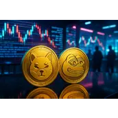 从 DOGE 到 PEPE，Memecoin 的创作平权之路