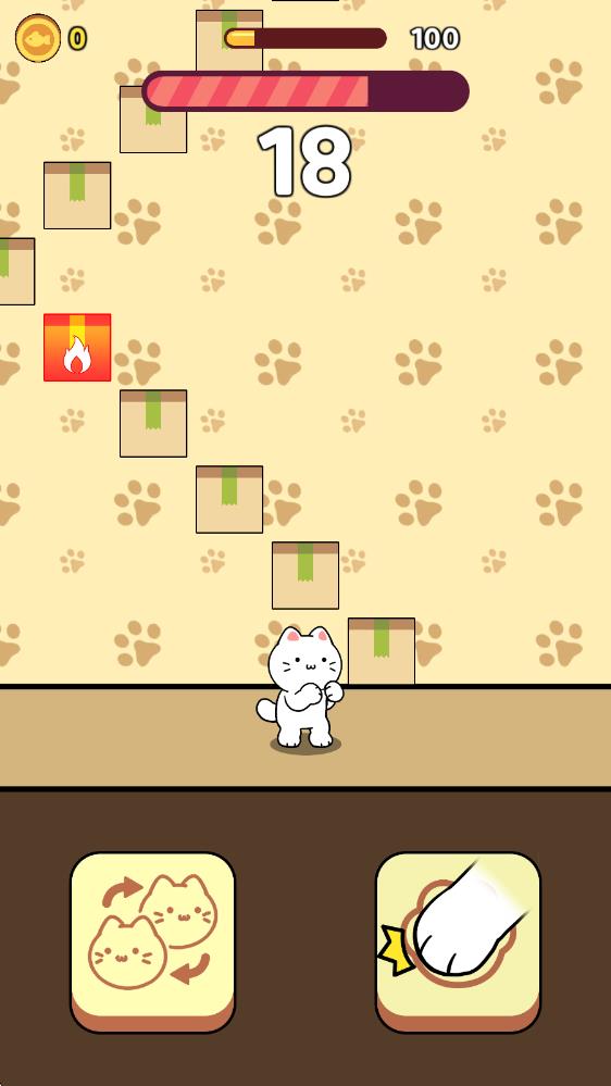 小猫打块