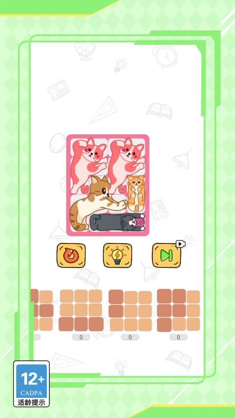 寻猫之旅
