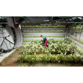 多重人生有机物储存容量怎么增加 容量增加方法一览