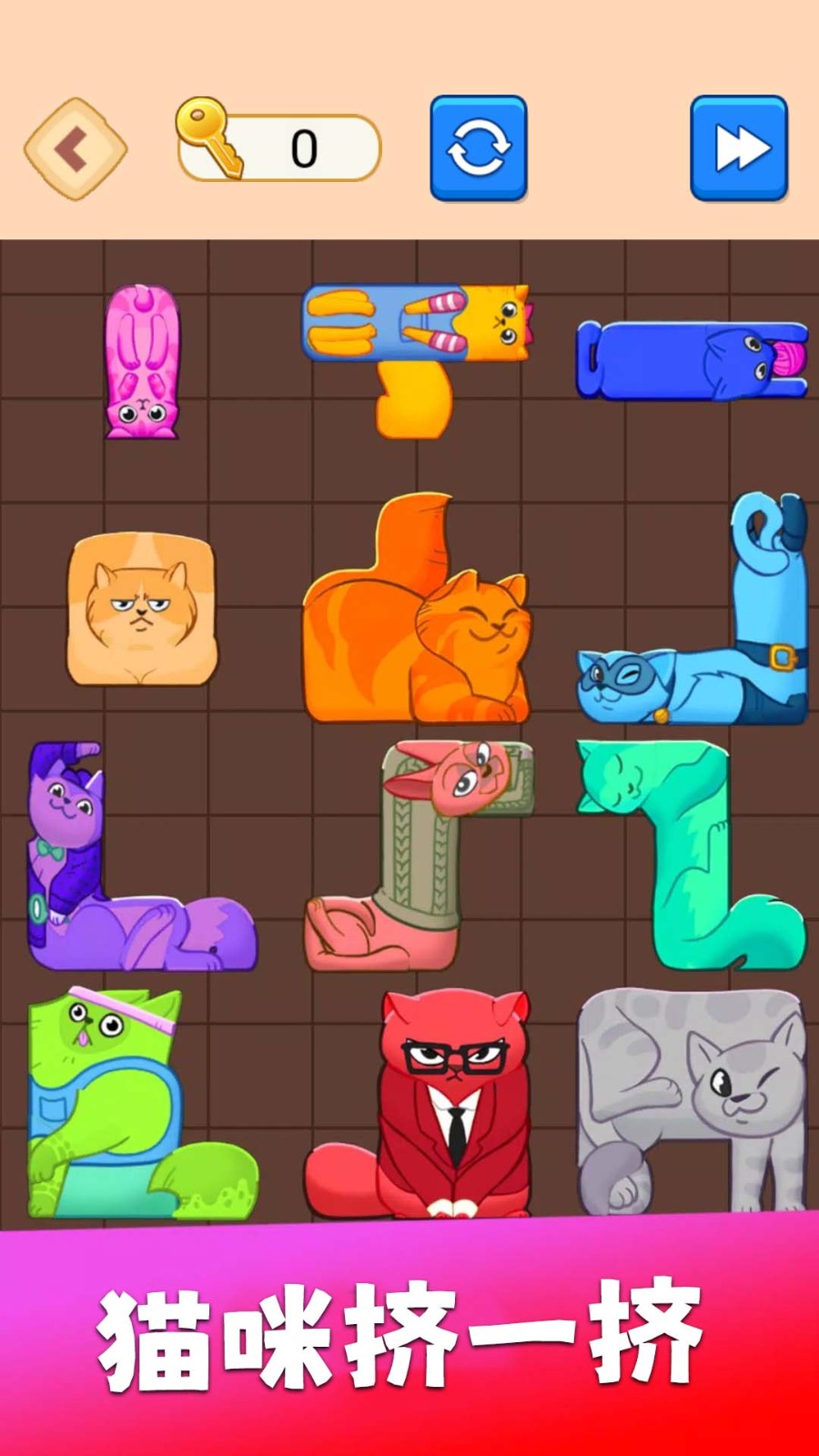 萌猫挤一挤