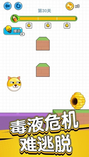 狗狗肿么了手机版