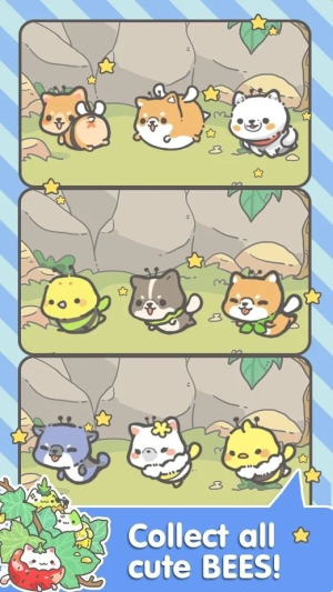 我的猫盆栽最新版