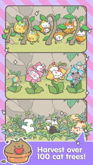 我的猫盆栽最新版
